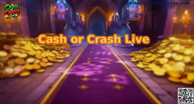 Cash or Crash Live Imagen Principal