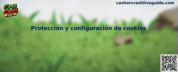 Protección y configuración segura de cookies del sitio web